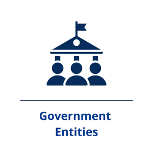 Government Entities