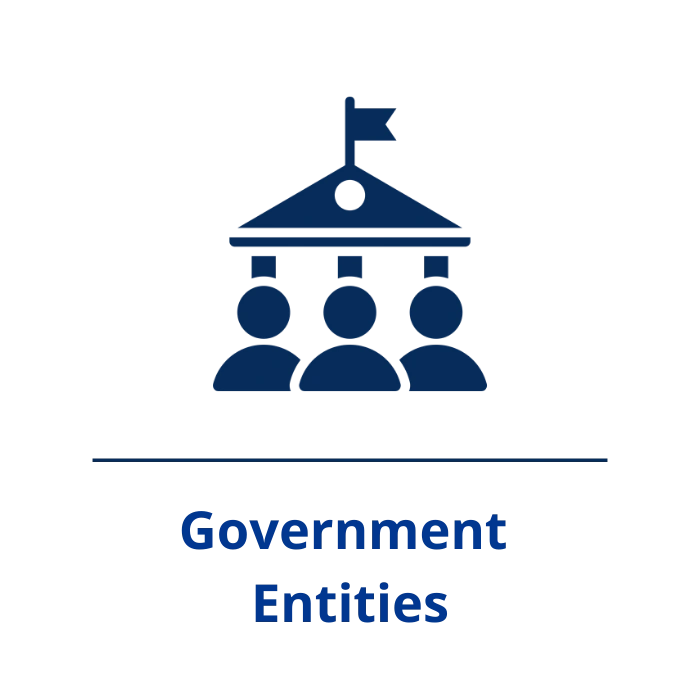Government Entities