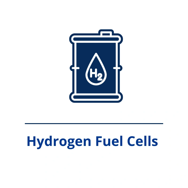 Hydrogen Fuel Cells